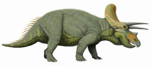 Triceratops