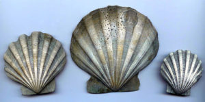 fossils