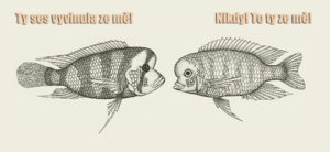 ateismus-potrebuje-evoluci-2