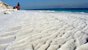 salinity-header