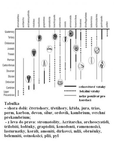 HistorickÃ½ pÅ™ehled vzniku geologickÃ©ho sloupce_4-tabulka indexovÃ½ch fosÃ­liÃ­.jpg