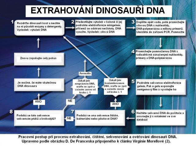 ZkoumÃ¡nÃ­ dinosauÅ™Ã­ DNA_2.jpg