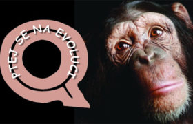 15 otázek pro evolucionisty