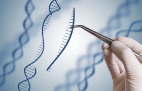 Genetika je proti evoluci člověka