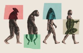 Proč se Darwin mýlil ohledně stromu života?