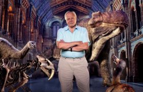 David Attenborough a Přírodopisné muzeum živě