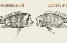 Závan minulosti: ředitel muzea vs. Darwin