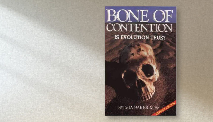 bone-of-contend