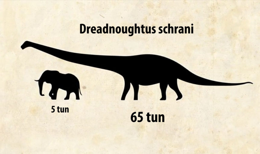 dreadnoughtus