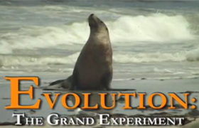 Evoluce: grandiózní experiment