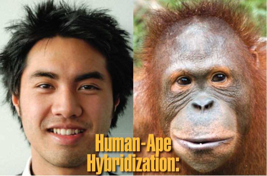 human-ape-hybridization