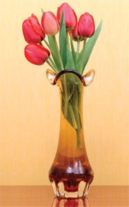 vase-flowers