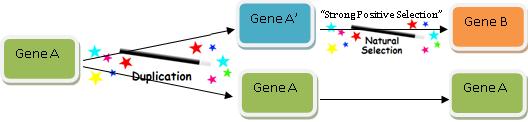 gene-game-03