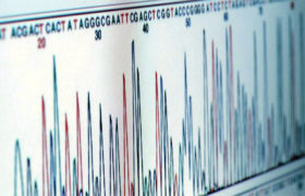 Data svědčí o nízkém stáří lidského rodu