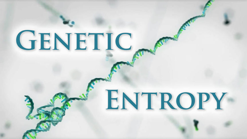 genetic-entropy