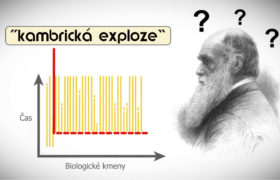 Kambrická exploze