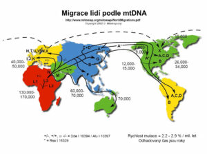 migrace mtDNA
