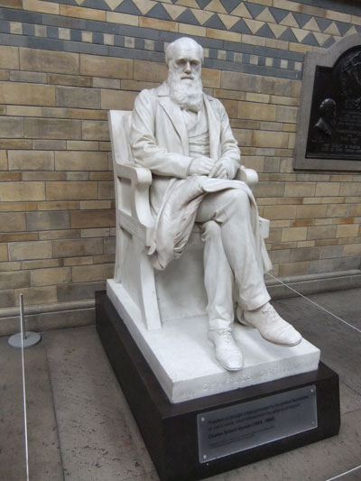 darwin-statue