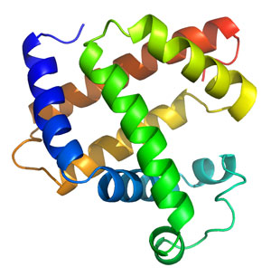folded-proteins_01