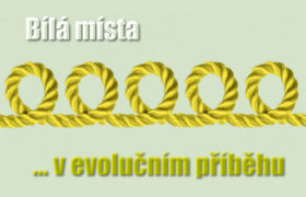 Bílá místa v evolučním příběhu