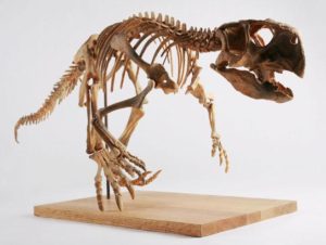 psittacosaurus2