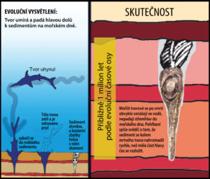 ichthyosaur-facts