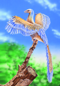 archeopteryx-flying-bird