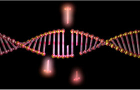 Opravné mechanismy DNA „křičí“ o stvoření