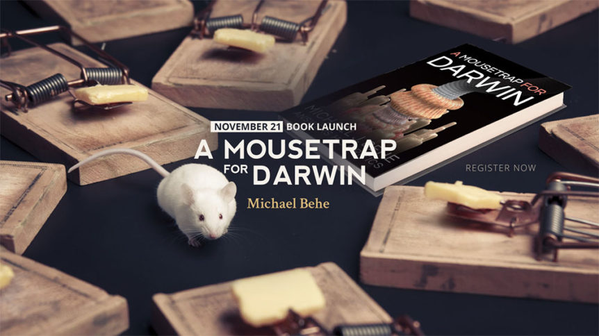 mousetrap-for-darwin