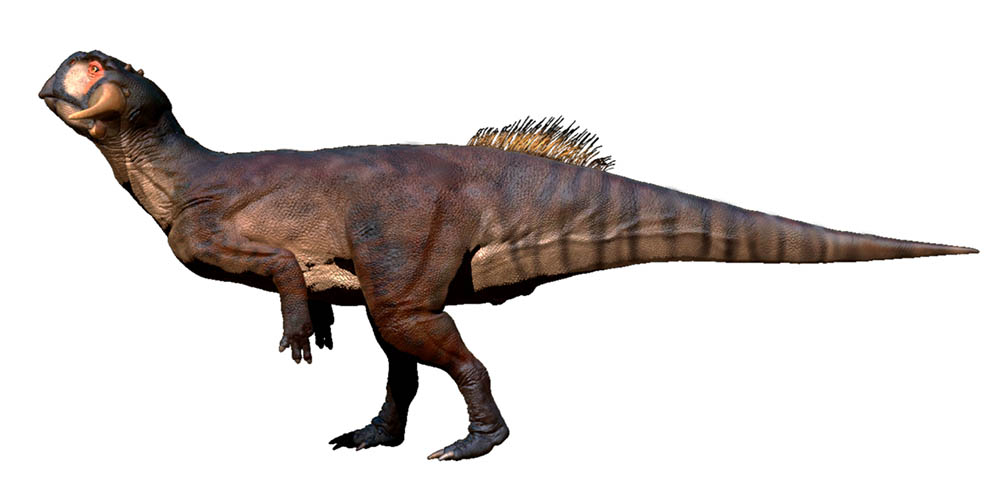 psittacosaurus_sibiricus