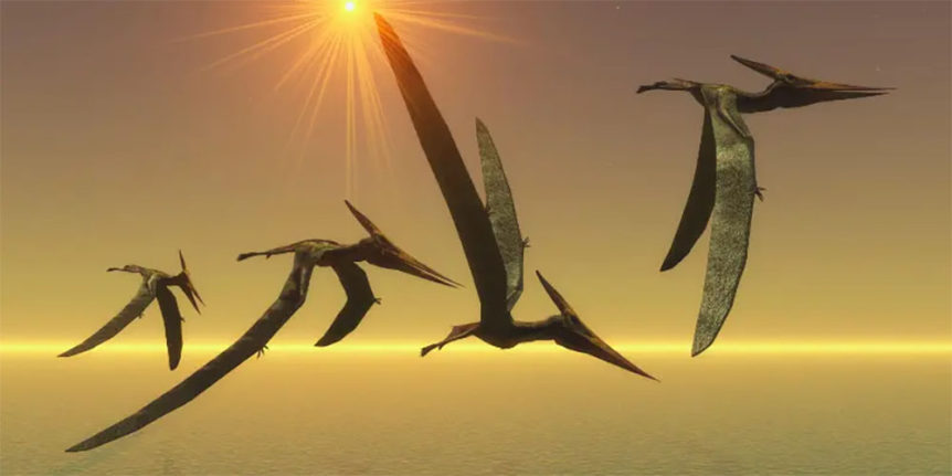 pterosaur-00