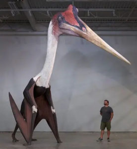 pterosaur-01