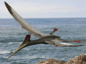 pterosaur-02