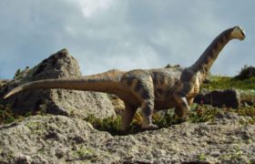 Čínský Camarasaurus?