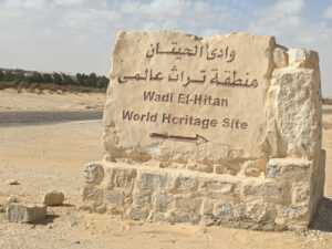 entry-wadi-el-hitan
