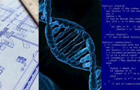 DNA kód má svou gramatiku