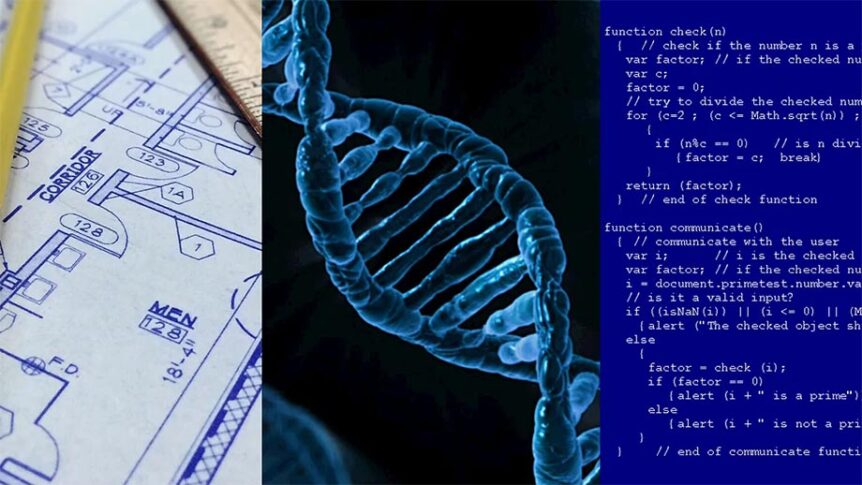 dna-grammar