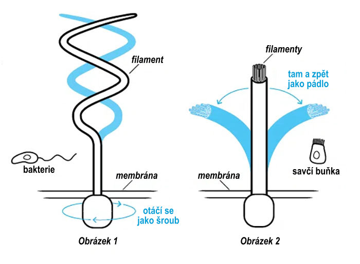 two-motors