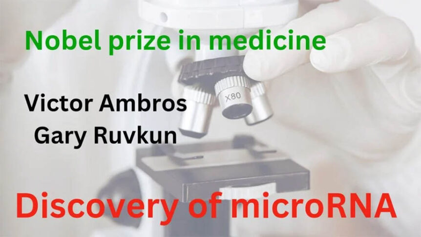 microrna-discovery