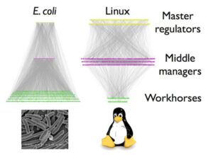 genome-linux