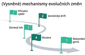 Evoluční mechanismy…