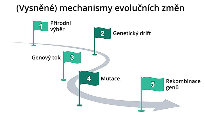 alleged-volutionary-mechanisms