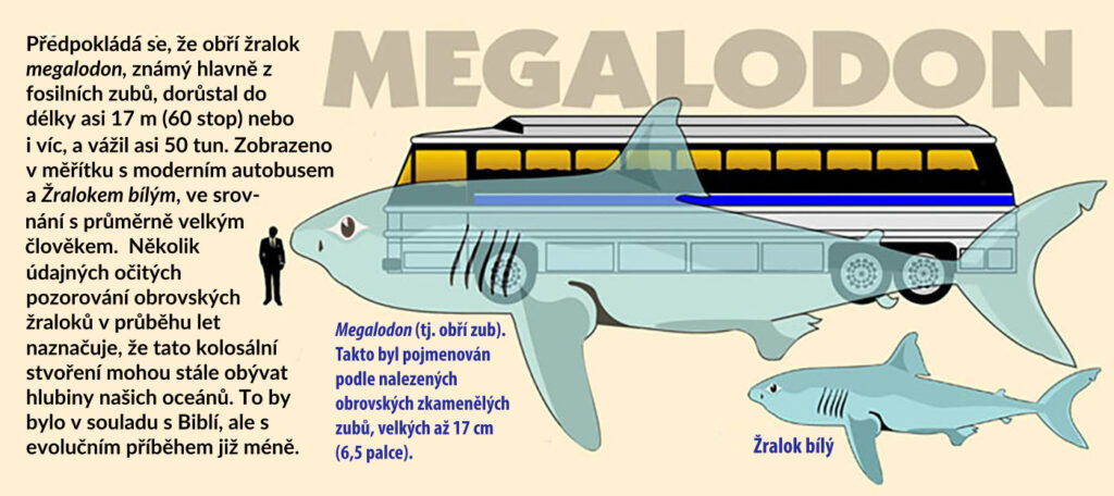 megalodon