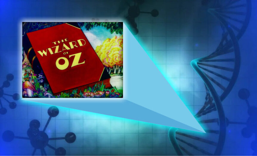 wizard-of-oz