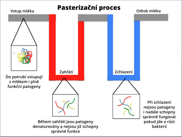 pasteurization-process